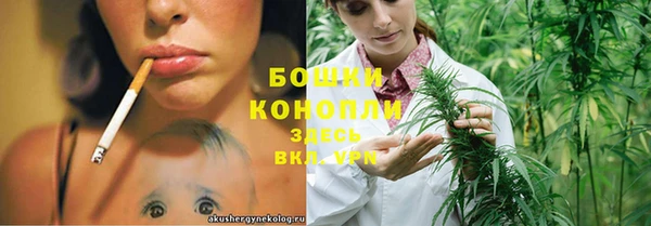 прущие крисы Белоозёрский