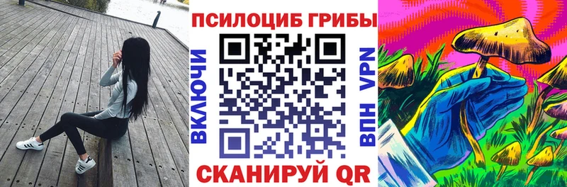 Галлюциногенные грибы GOLDEN TEACHER Гай