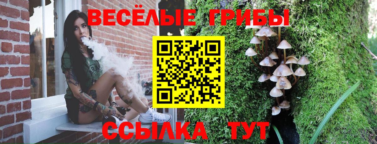 Галлюциногенные грибы мухоморы  закладки  Галлюциногенные грибы ЛСД  Гай  Вход с VPN 