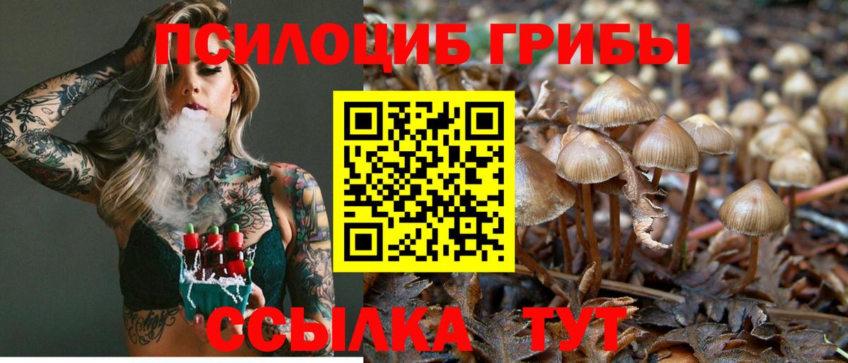 Псилоцибиновые грибы ЛСД Гай