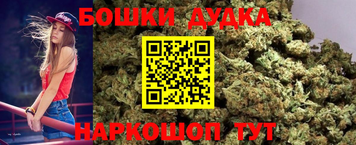 Шишки марихуана план Гай